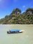 Magnificent scenery of the Kilim Geoforest Park in Langkawi, Malaysia
