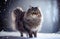 a magnificent  Siberian cat on snow made with Generative AI