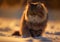 magnificent  Siberian cat on snow made with Generative AI