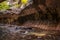 Magnificent Subway gorge landmark in the Zion National Park in Utah