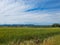 Magnificent sunny landscape of the Alpilles in Provence in France with a vast meadow and the hills of the Orgon plateau