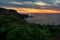 Magnificent sunrise view with beautiful wild peonies on the beach near Tylenovo, Bulgaria