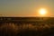 Magnificent sunset in a newly mowed straw field full of alpacas next to the Tagus river in the inheritance. June 15, 2013. Las