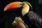 Magnificent toucans side profile reveals its distinctive and colorful appearance