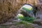 Magnificent view of the Devetaki cave, Bulgaria