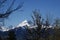 A magnificent view of the peak of Mont Blanc in spring