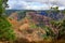 Magnificent Waimea Canyon