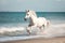 Magnificent white horse galloping freely on the beach. This artwork embodies the essence of grace, power, and untamed spirit. Ai