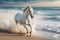 Magnificent white horse galloping freely on the beach. This artwork embodies the essence of grace, power, and untamed spirit. Ai