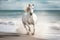 Magnificent white horse galloping freely on the beach. This artwork embodies the essence of grace, power, and untamed spirit. Ai