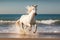 Magnificent white horse galloping freely on the beach. This artwork embodies the essence of grace, power, and untamed spirit. Ai