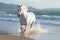 Magnificent white horse galloping freely on the beach. This artwork embodies the essence of grace, power, and untamed spirit. Ai