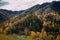 Magnificent wildlife of the Altai mountains. Golden autumn, Sunny day, hills covered with mixed forest, river sparkling in the sun