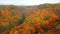 Magnificient colourful autumn forest