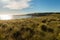 Magnificient view over the southern ocean, New Zealand