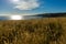 Magnificient view over the southern ocean, New Zealand