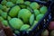 Magnified apple with a magnifying glass. Green apples in a crate. Perfectly stacked hand-picked apples. Apples after harvest in