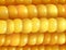 Magnified image of a corn