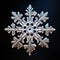 A magnified view of a snowflake showcases its intricate symmetry