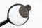 Magnifier and euro coin