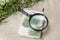 Magnifying glass, book and plant twig