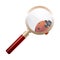 Magnifying glass, ladybird, education concept. Scientific biology.