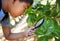 Magnifying glass, nature and an asian boy studying plants outdoor for education during a field trip. Kids, school and