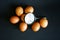 Magnifying glass and seven brown chicken eggs on a dark background. Concept for laboratory analysis and sorting of eggs, product