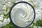 Magnifying glass on white flowers. Vortex effect. Ecology and environmental protection concept. Observing, exploring nature and