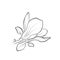 Magnolia bloom image. hand drawn flower illustration. vector floral element for greeting and invitation design