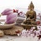Magnolia and cherry blossoms with Buddha for inner beauty