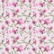 Magnolia Flowers Background