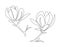 Magnolia flowers in one line art style. Continuous drawing can used for icon, wall art prints, posters, magazine