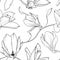 Magnolia sakura flowers branch seamless pattern