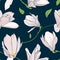 Magnolia sakura spring tree pink flowers navy blue