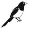 Magpie bird icon, simple style