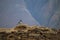 Magpie close-up sitting on the ruins of an ancient fortress in the Pamir mountains