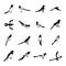 Magpie crow bird icons set, simple style