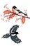 Magpie and rowan