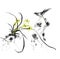 Magpie stone orchid ink painting Chinese painting