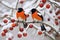 Magpies on Snowy Persimmon Tree with Red Fruits. Generative Ai