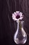 Maguerite flower in glas vase