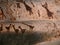Magura Cave in Bulgaria. Prehistoric wall paintings drawings with bat guano.