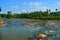 Maha Oya is a major stream in the Sabaragamuwa Province of Sri Lanka.