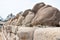 Mahabalipuram sculptures in temple