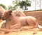 Mahabalipuram, Tamil Nadu, India - June 14, 2009 Ancient stone statue of Nandi Bull