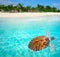 Mahahual Caribbean beach turtle photomount