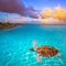 Mahahual Caribbean beach turtle photomount