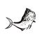Mahi-mahi or Common Dolphinfish Jump Up Retro Black and White