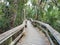 Mahogany Hammock Boardwalk in Everglades National Park.